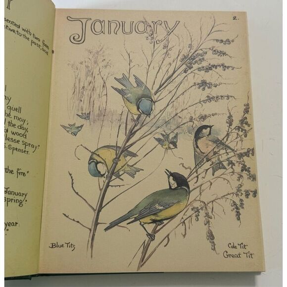 The Country Diary of an Edwardian Lady by Edith Holden (1977, Hardcover) - Picture 10 of 10